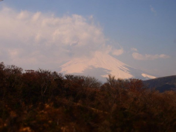 japanday3-hakone21