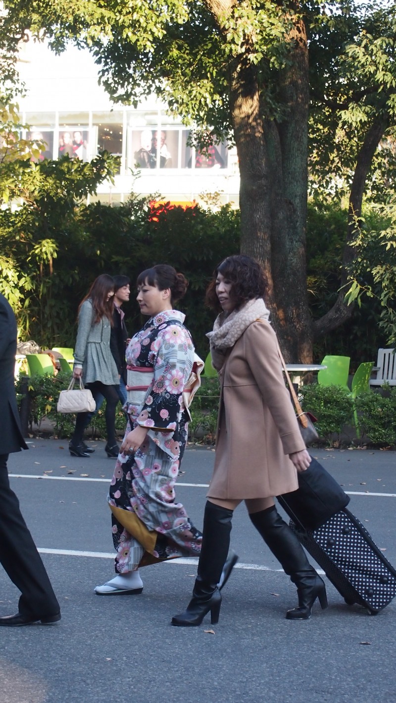 In front of Meiji Jingu Shrine,Tokyo, Japan