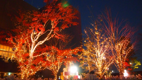 Christmas illumination at Tokyu Plaza at Harajuku, Tokyo, Japan