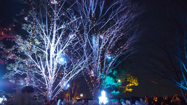 Christmas illumination at Tokyu Plaza at Harajuku, Tokyo, Japan