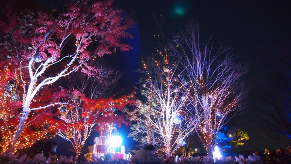 Christmas illumination at Tokyu Plaza at Harajuku, Tokyo, Japan