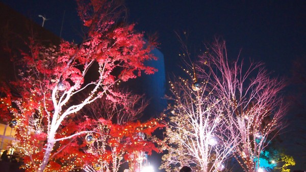 Christmas illumination at Tokyu Plaza at Harajuku, Tokyo, Japan