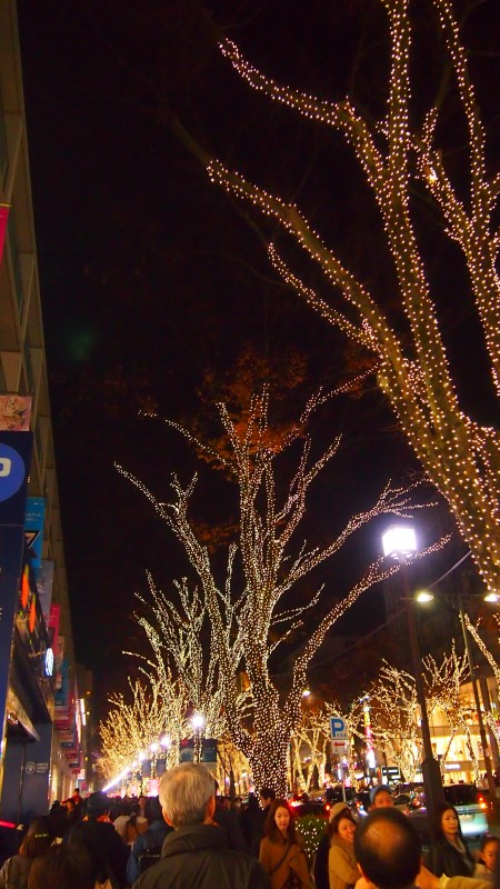 Chuo dori Christmas winter illumination at Omotesando, Tokyo, Japan