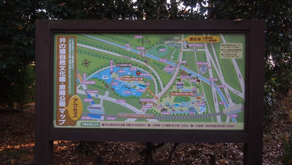 Inokashira Park, Kichijoji, Tokyo, Japan