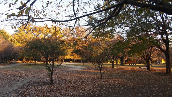 Inokashira Park, Kichijoji, Tokyo, Japan