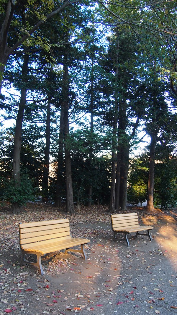 Inokashira Park, Kichijoji, Tokyo, Japan