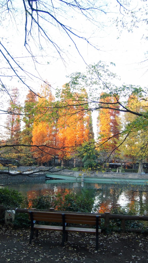 Inokashira Park, Kichijoji, Tokyo, Japan