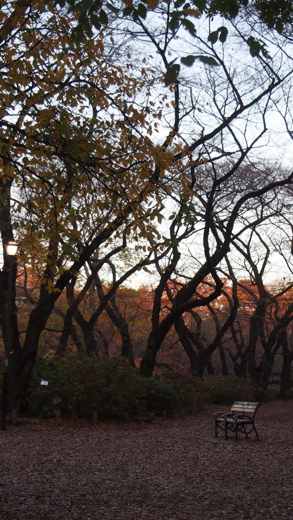 Inokashira Park, Kichijoji, Tokyo, Japan