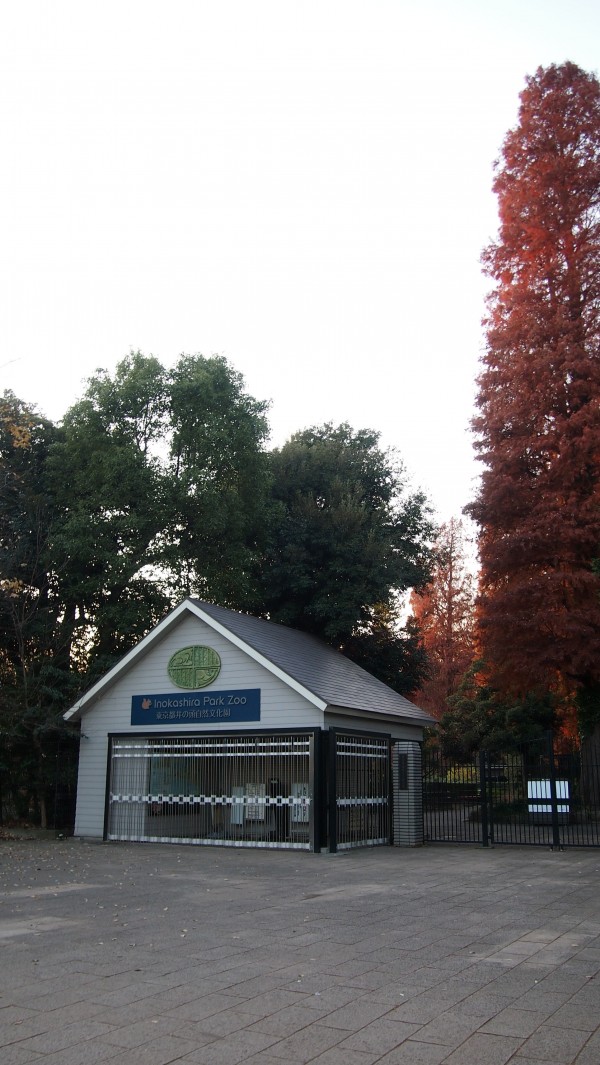 Inokashira Park, Kichijoji, Tokyo, Japan