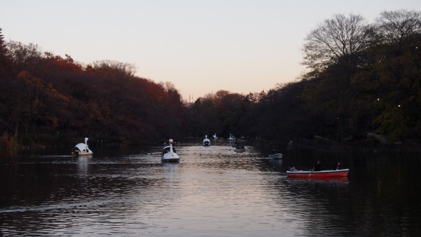 Inokashira Park, Kichijoji, Tokyo, Japan