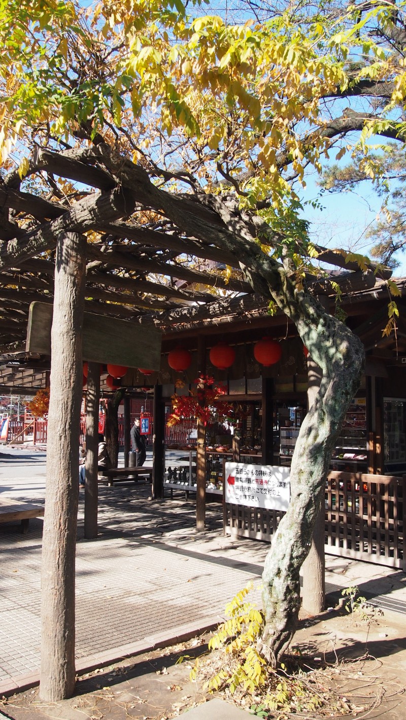 Kitain Temple at Kawagoe, Saitama, Japan