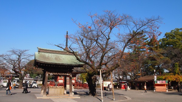 Kitain Temple at Kawagoe, Saitama, Japan