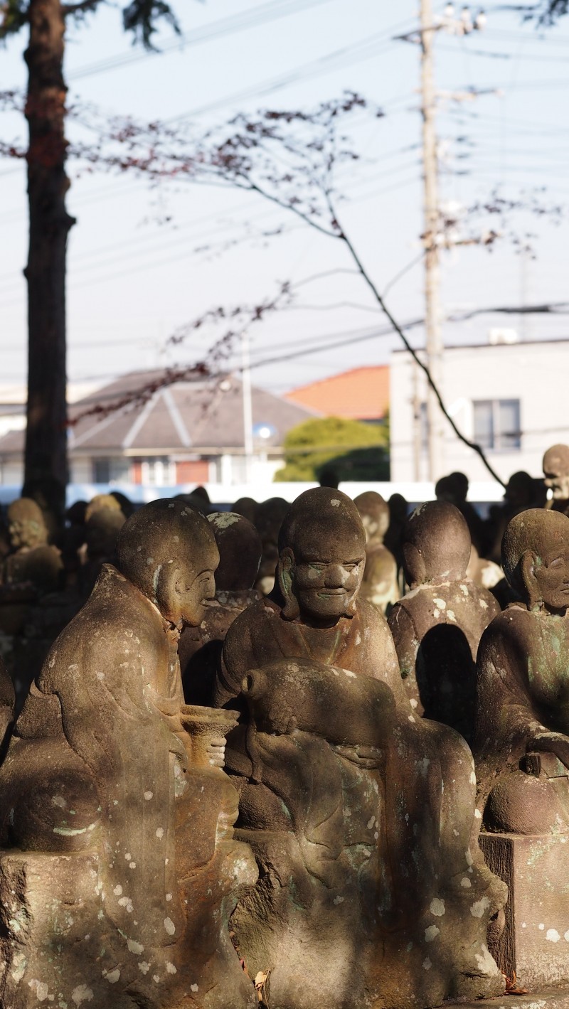 Kitain Temple at Kawagoe, Saitama, Japan