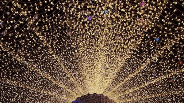 Japan 2013 December Winter Illumination Nagashima Nabana no Sato