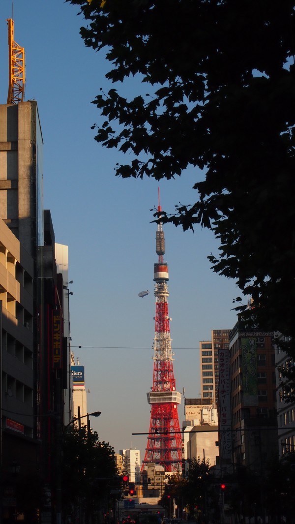 Tokyo Tower seen from Roppongi, Tokyo, Japan