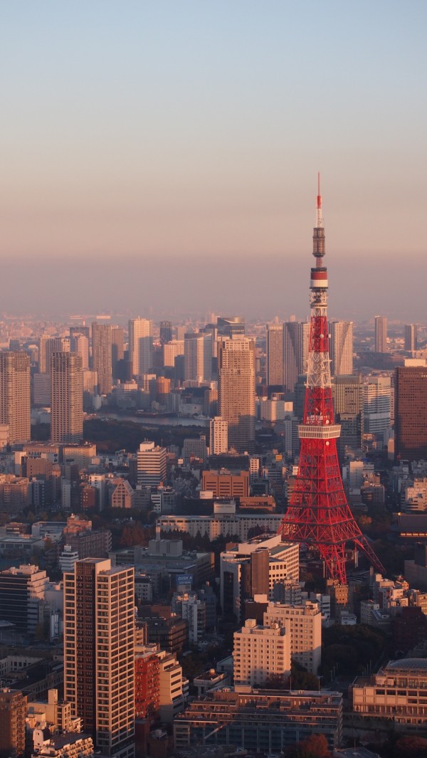 Tokyo Tower from Mori Art Museum at Roppongi, Tokyo, Japan