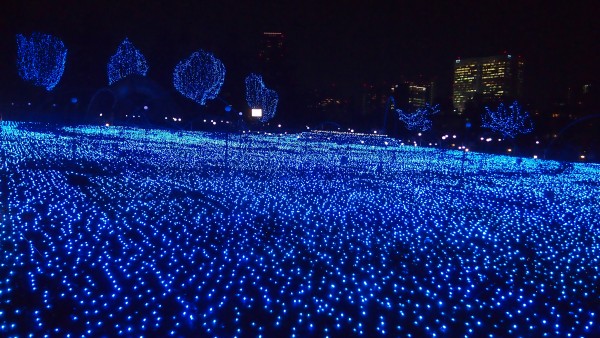 Tokyo Midtown Christmas Winter Illumination at Roppongi, Tokyo, Japan