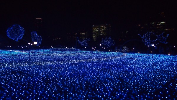 Tokyo Midtown Christmas Winter Illumination at Roppongi, Tokyo, Japan