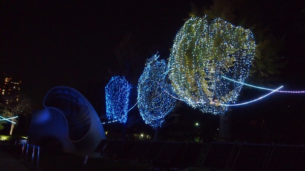 Tokyo Midtown Christmas Winter Illumination at Roppongi, Tokyo, Japan