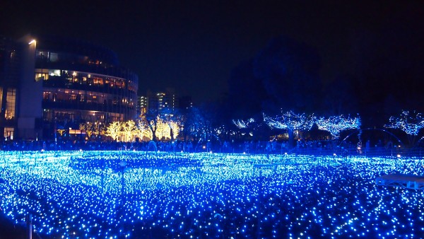 Tokyo Midtown Christmas Winter Illumination at Roppongi, Tokyo, Japan