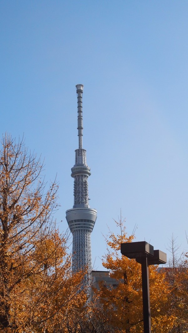 Tokyo Skytree, Asakusa, Tokyo, Japan