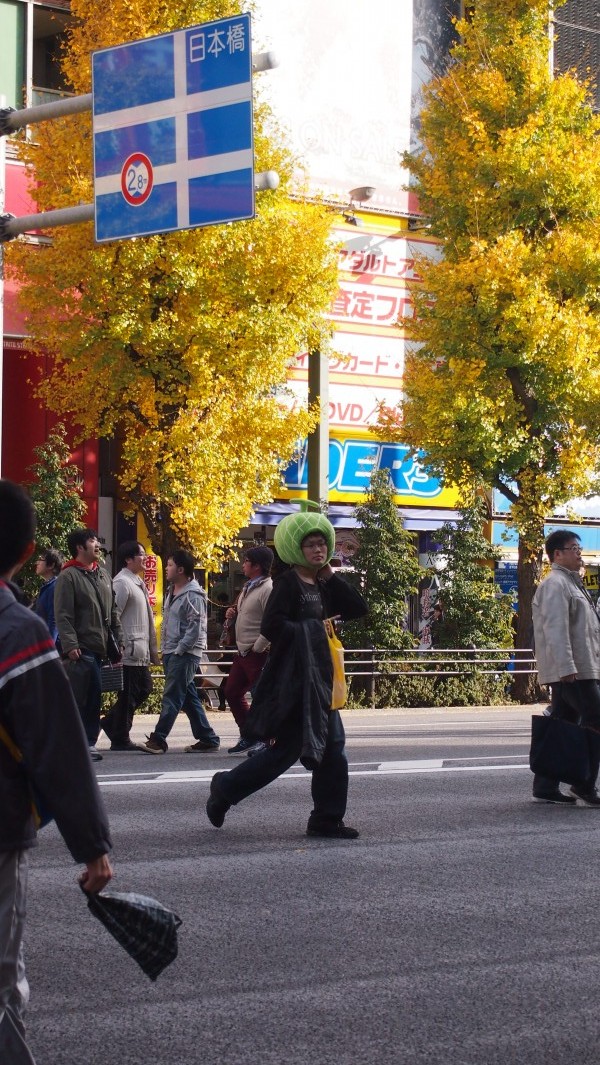 Akihabara, Tokyo, Japan