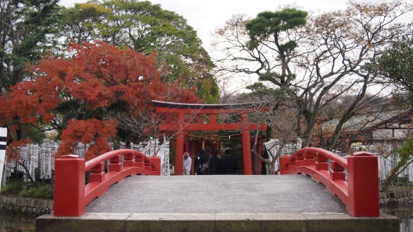 Tsurugaoka Hachimangu, Kamakura, Japan