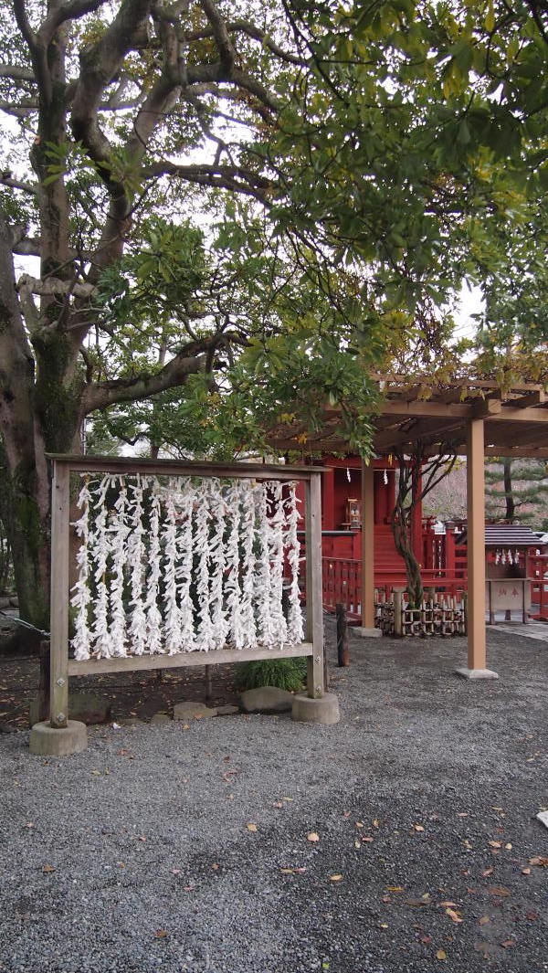 Tsurugaoka Hachimangu, Kamakura, Japan