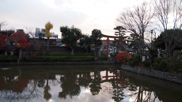 Tsurugaoka Hachimangu, Kamakura, Japan