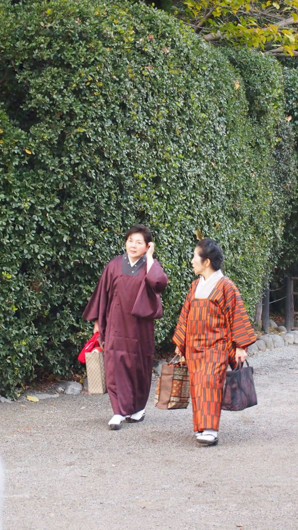 Tsurugaoka Hachimangu, Kamakura, Japan