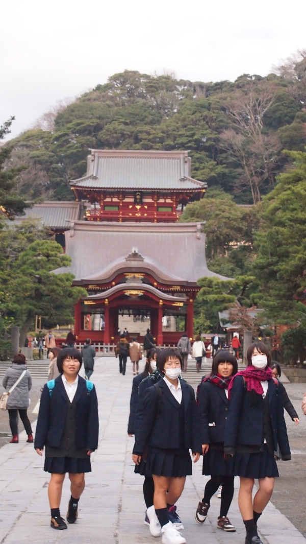Tsurugaoka Hachimangu, Kamakura, Japan