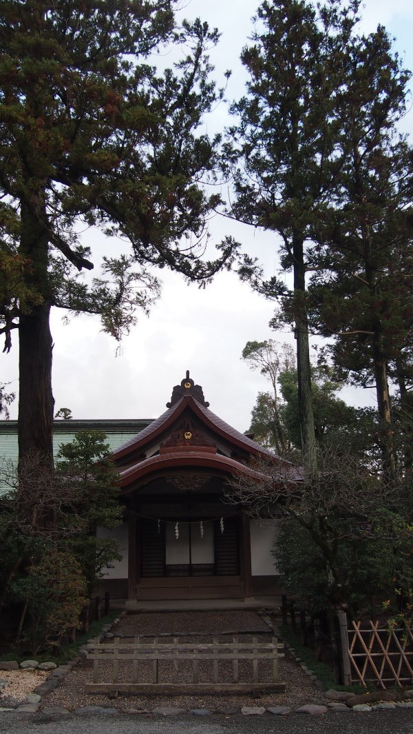 Tsurugaoka Hachimangu, Kamakura, Japan