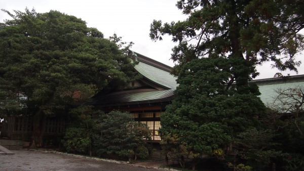 Tsurugaoka Hachimangu, Kamakura, Japan