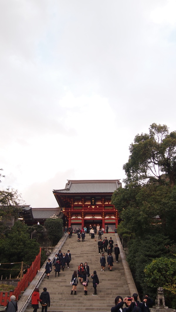 Tsurugaoka Hachimangu, Kamakura, Japan