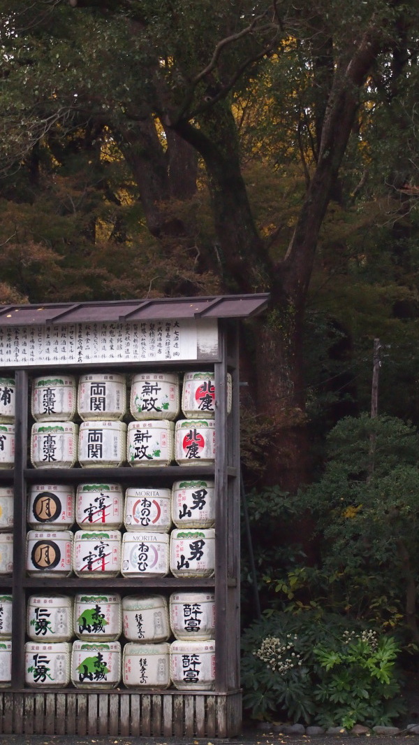 Tsurugaoka Hachimangu, Kamakura, Japan