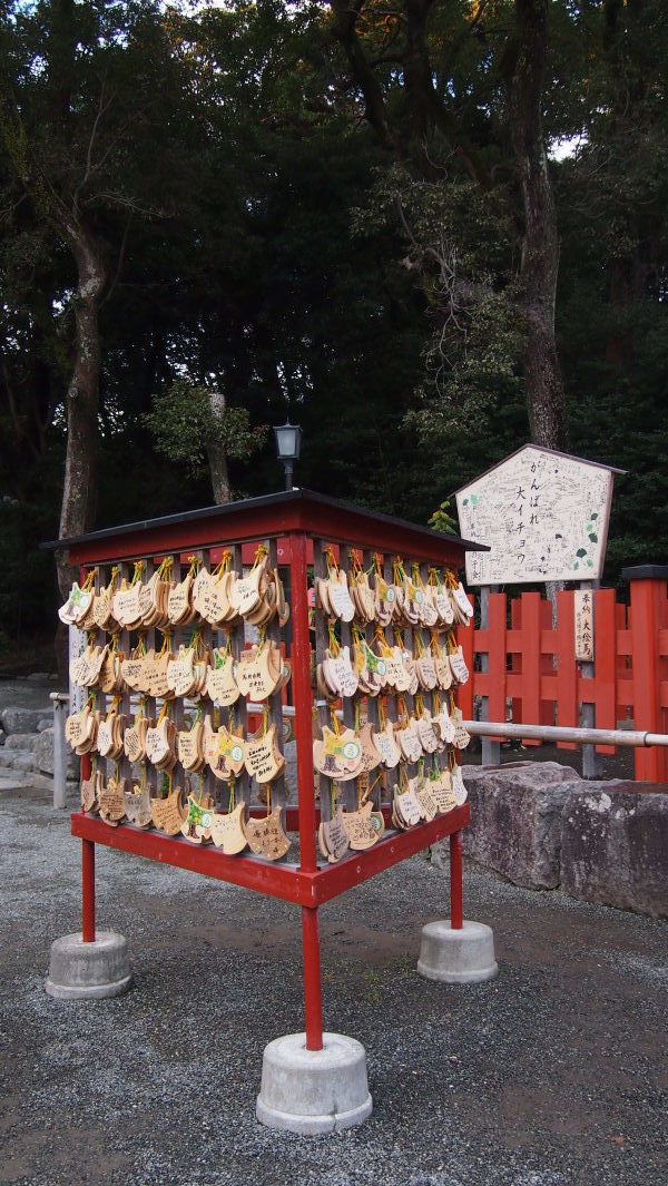 Tsurugaoka Hachimangu, Kamakura, Japan
