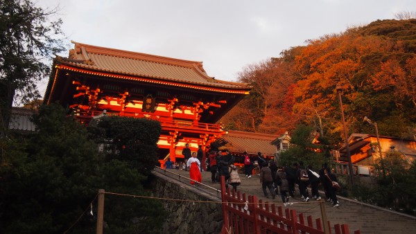 Tsurugaoka Hachimangu, Kamakura, Japan