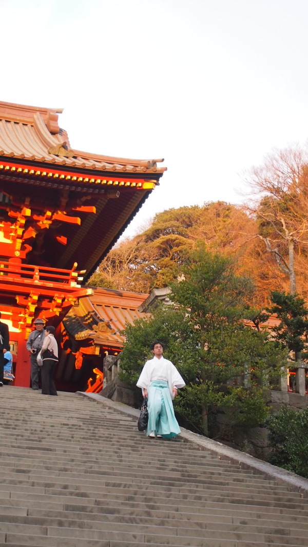 Tsurugaoka Hachimangu, Kamakura, Japan