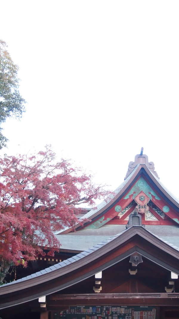 Tsurugaoka Hachimangu, Kamakura, Japan