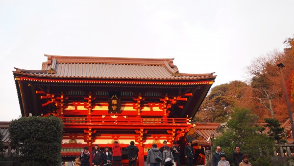 Tsurugaoka Hachimangu, Kamakura, Japan