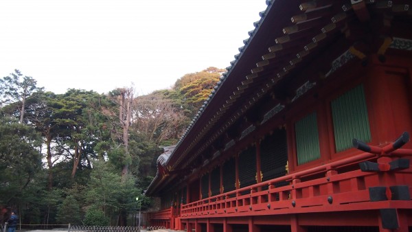 Tsurugaoka Hachimangu, Kamakura, Japan
