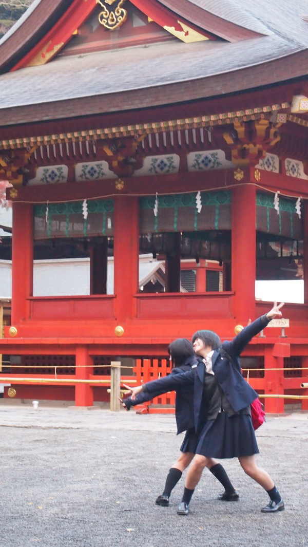 Tsurugaoka Hachimangu, Kamakura, Japan