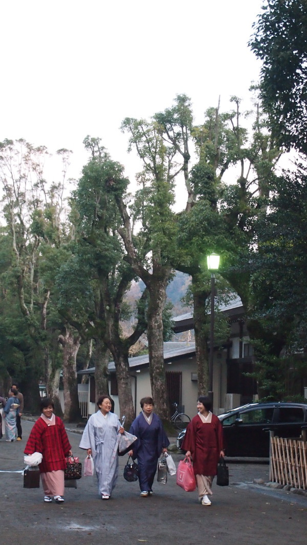 Tsurugaoka Hachimangu, Kamakura, Japan