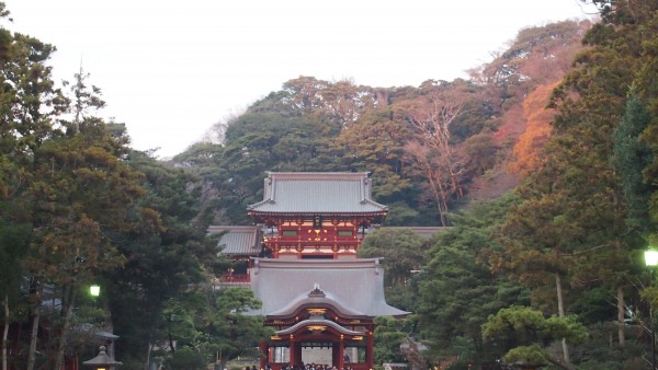 Tsurugaoka Hachimangu, Kamakura, Japan