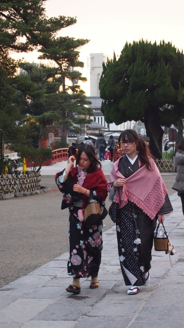 Tsurugaoka Hachimangu, Kamakura, Japan