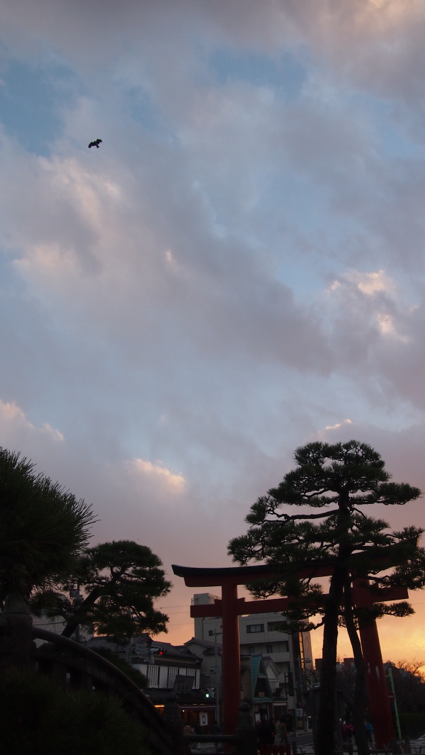 Tsurugaoka Hachimangu, Kamakura, Japan