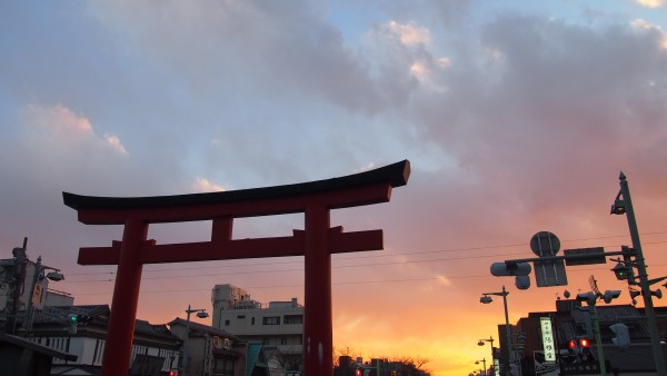 Tsurugaoka Hachimangu, Kamakura, Japan