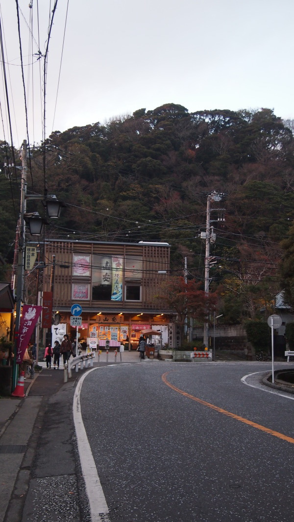 Tsurugaoka Hachimangu, Kamakura, Japan