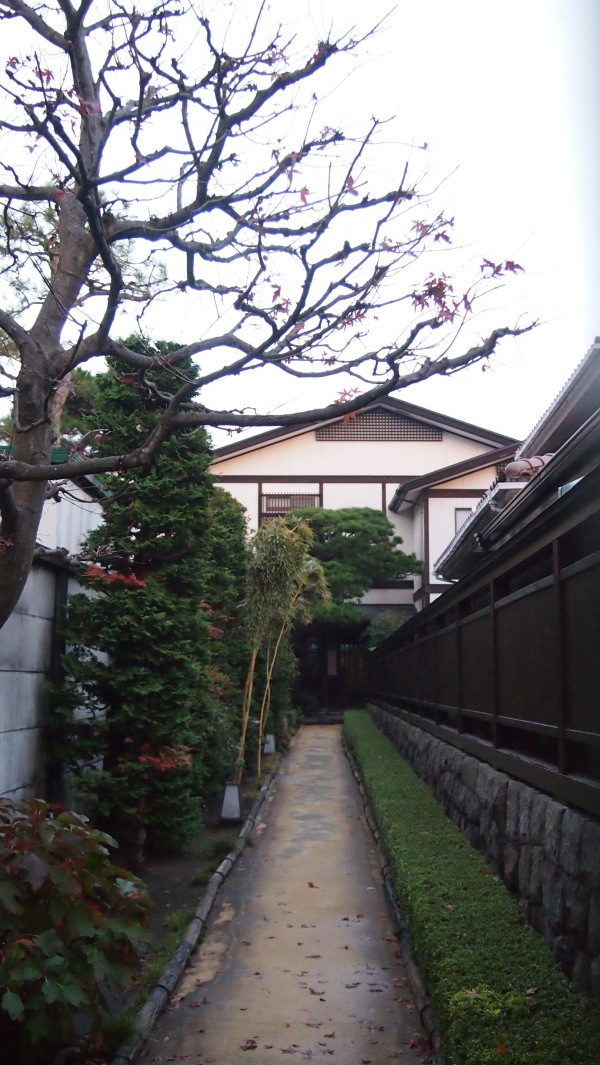Tsurugaoka Hachimangu, Kamakura, Japan