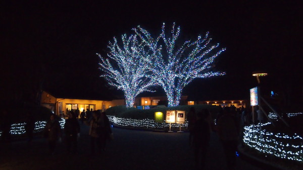 Nabana no Sato winter illumination, Nagashima near Nagoya, Japan